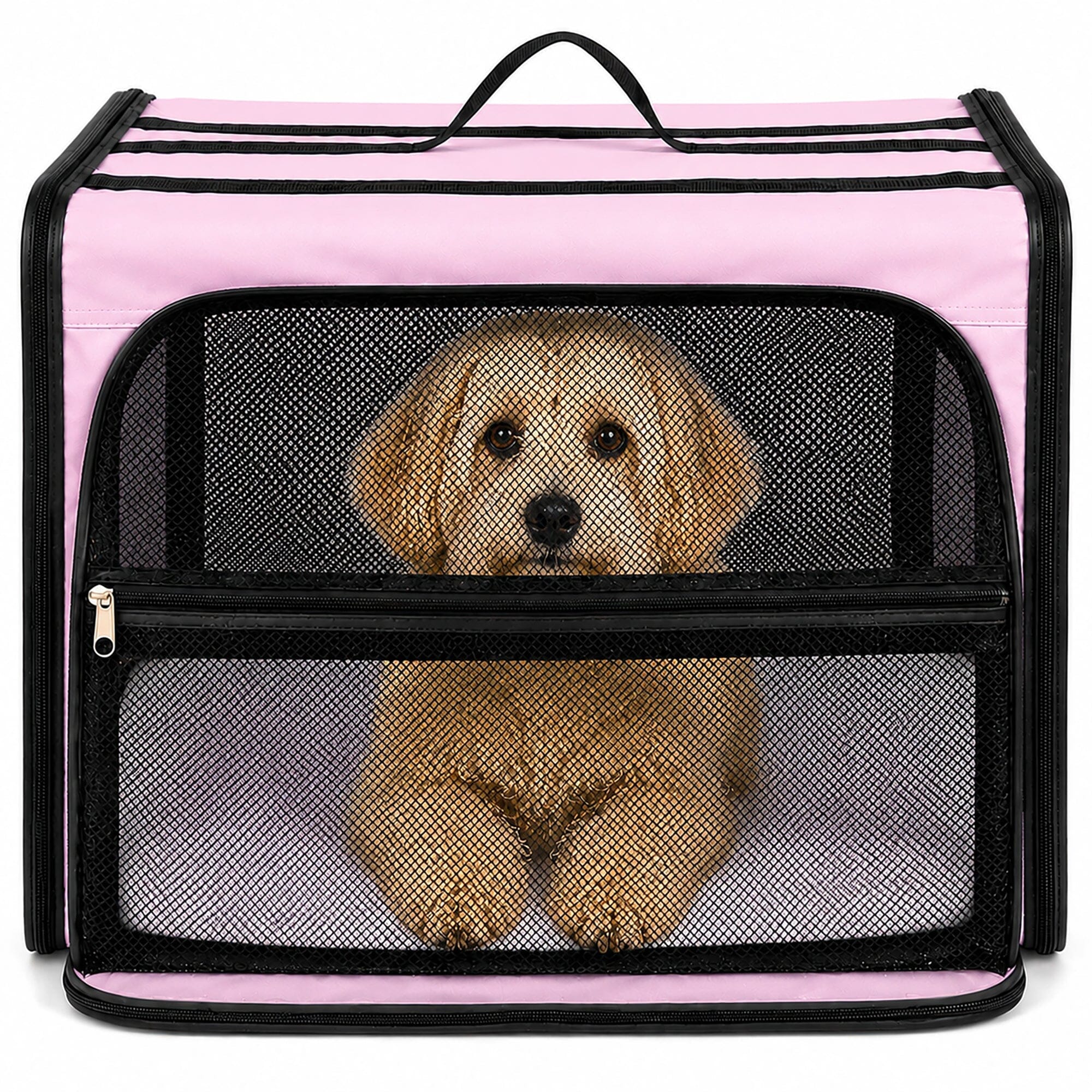 Pet Life ® &