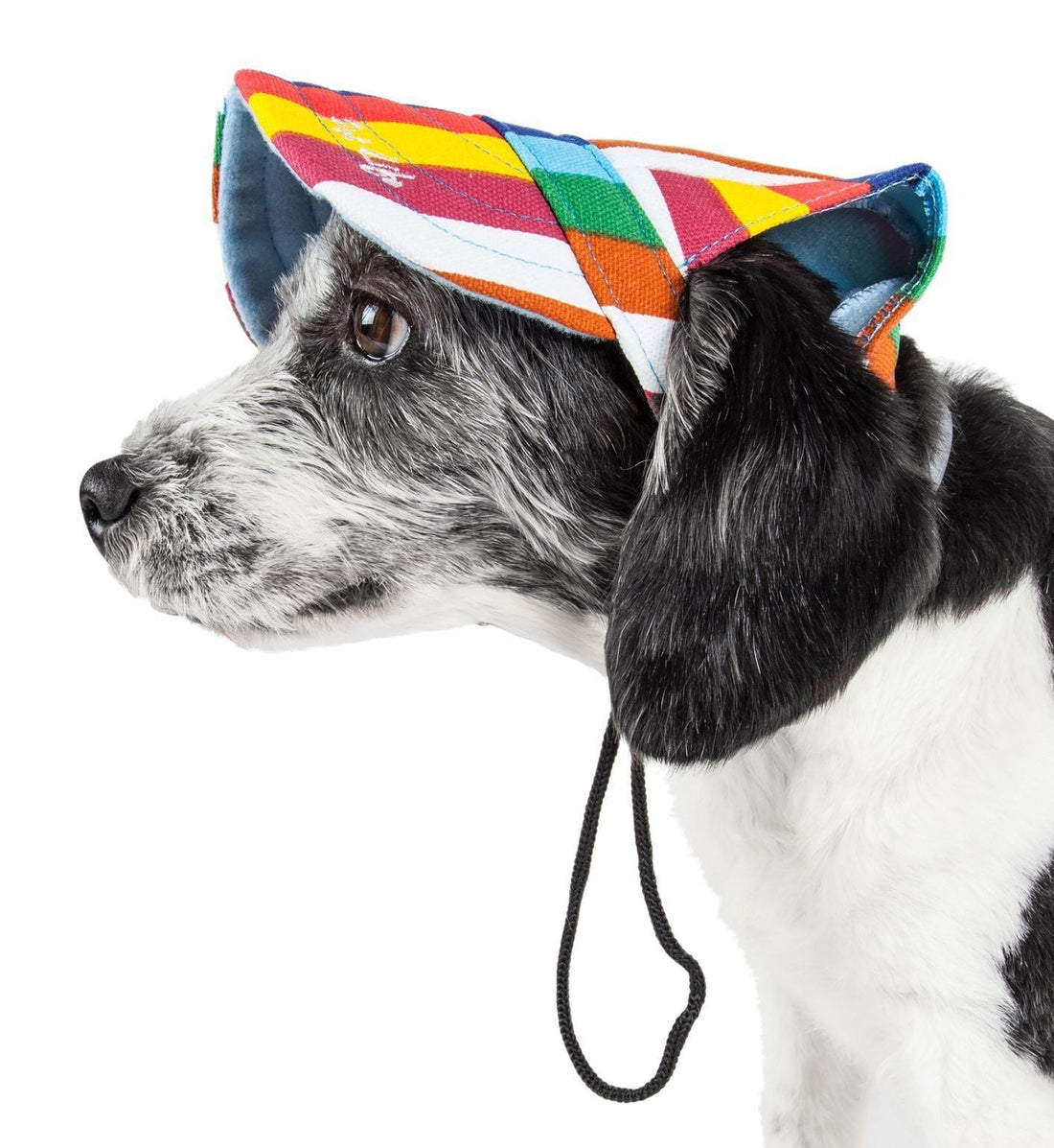 Pet Life ®  &