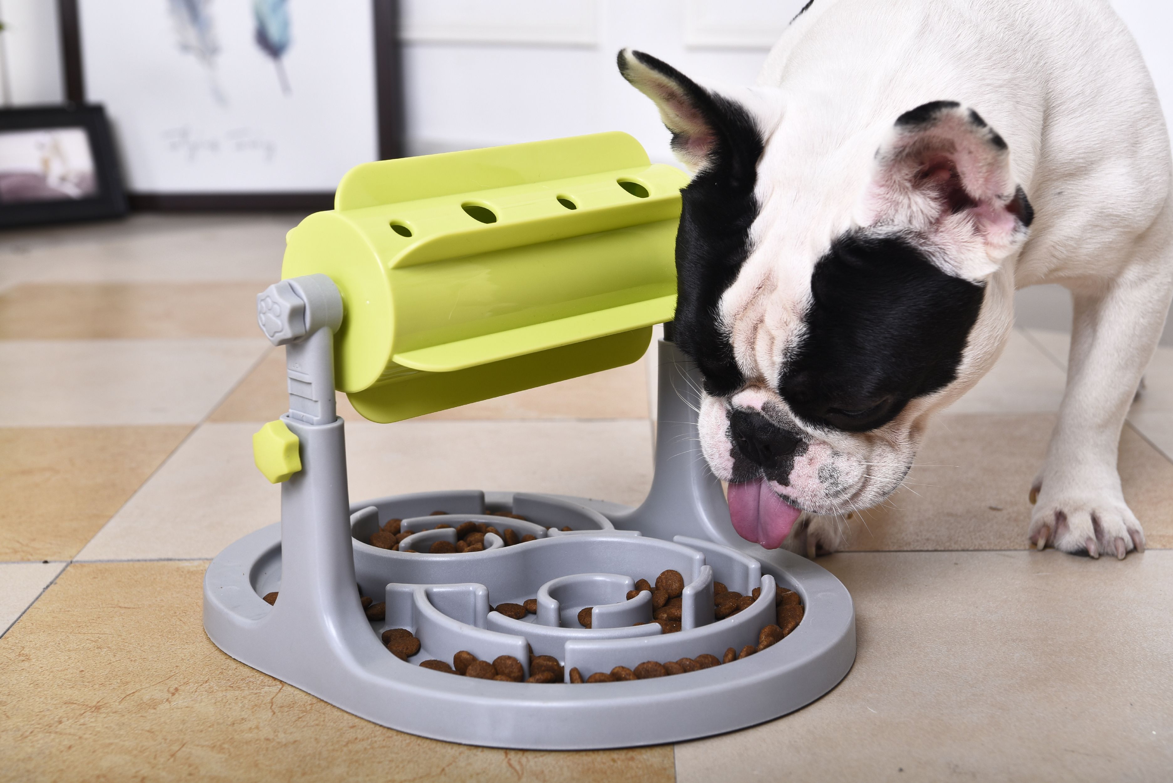 Pet Life ® &