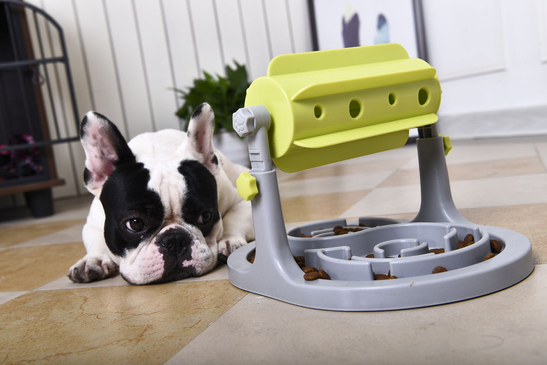 Pet Life ® &