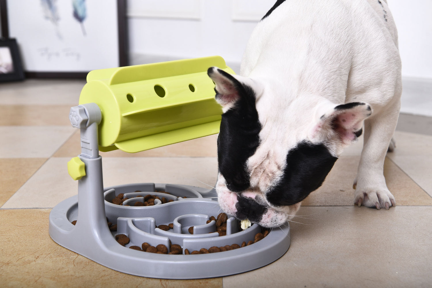 Pet Life ® &