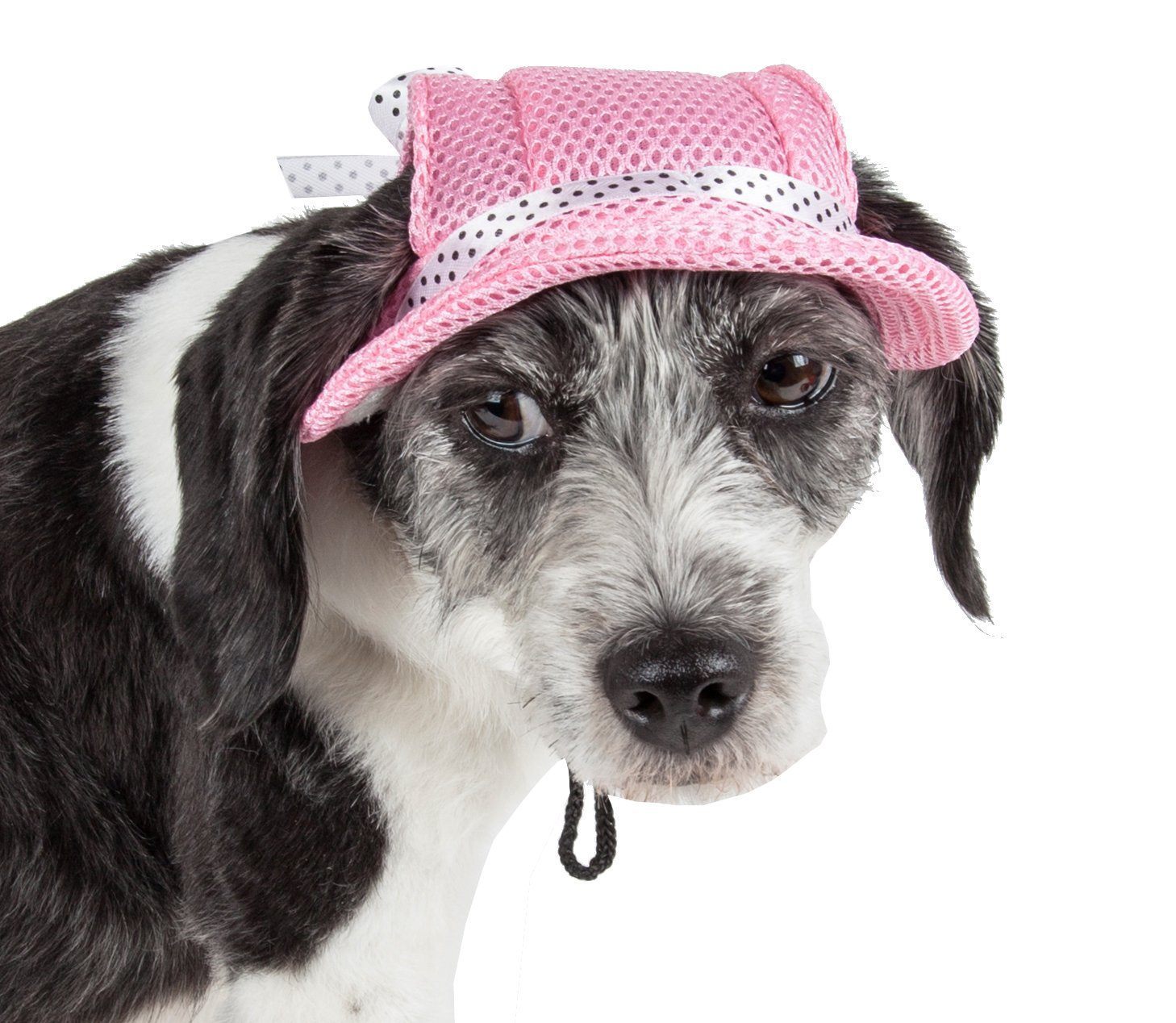 Pet Life ®  &
