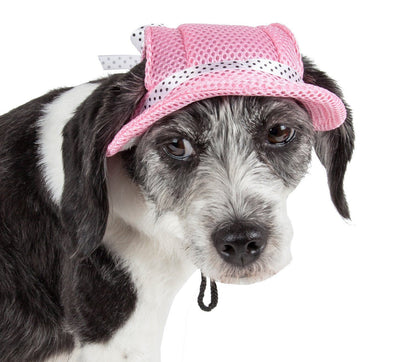 Pet Life ®  &