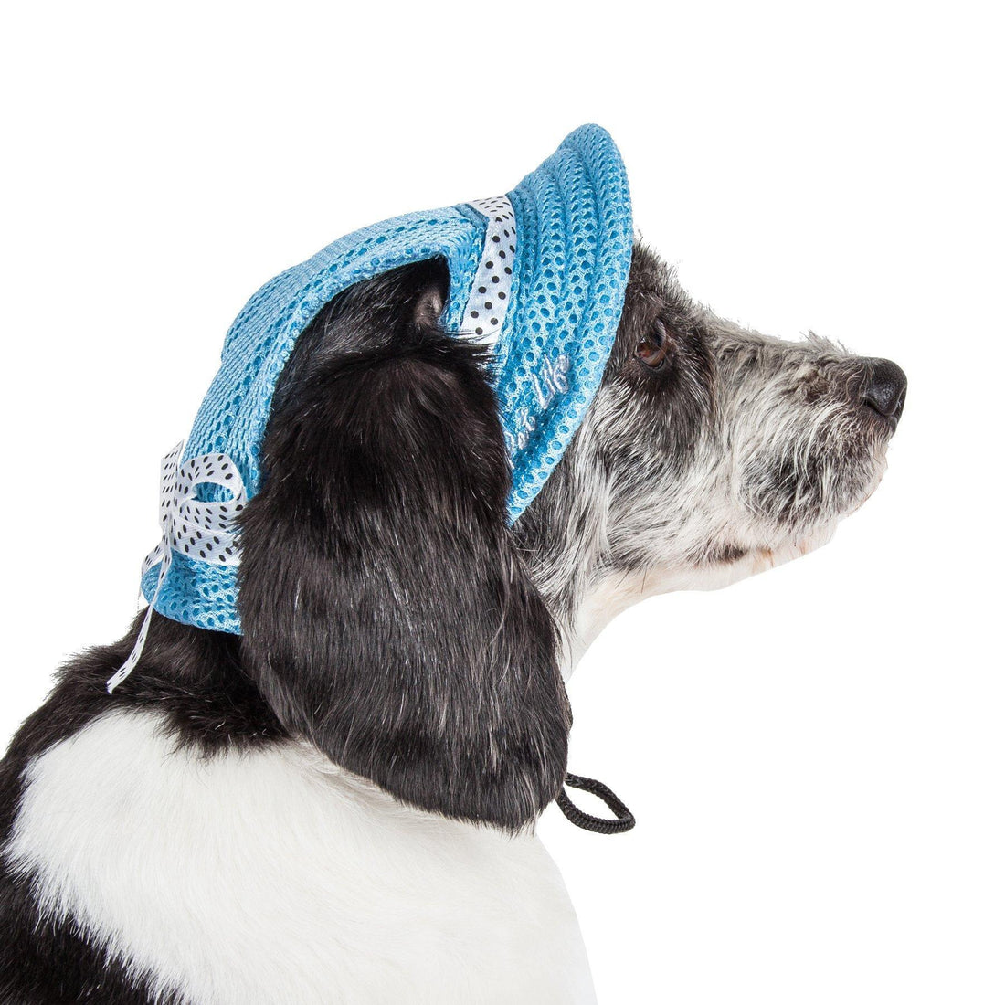 Pet Life ®  &