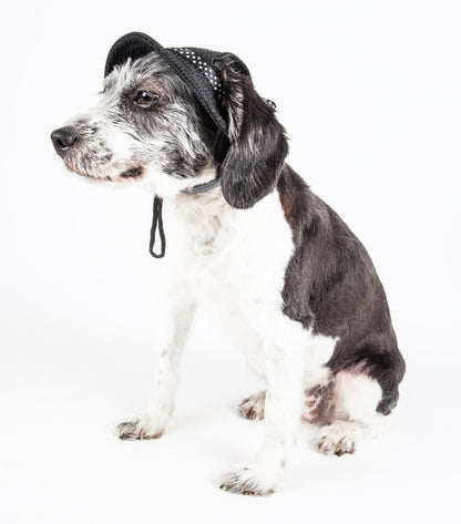 Pet Life ®  &