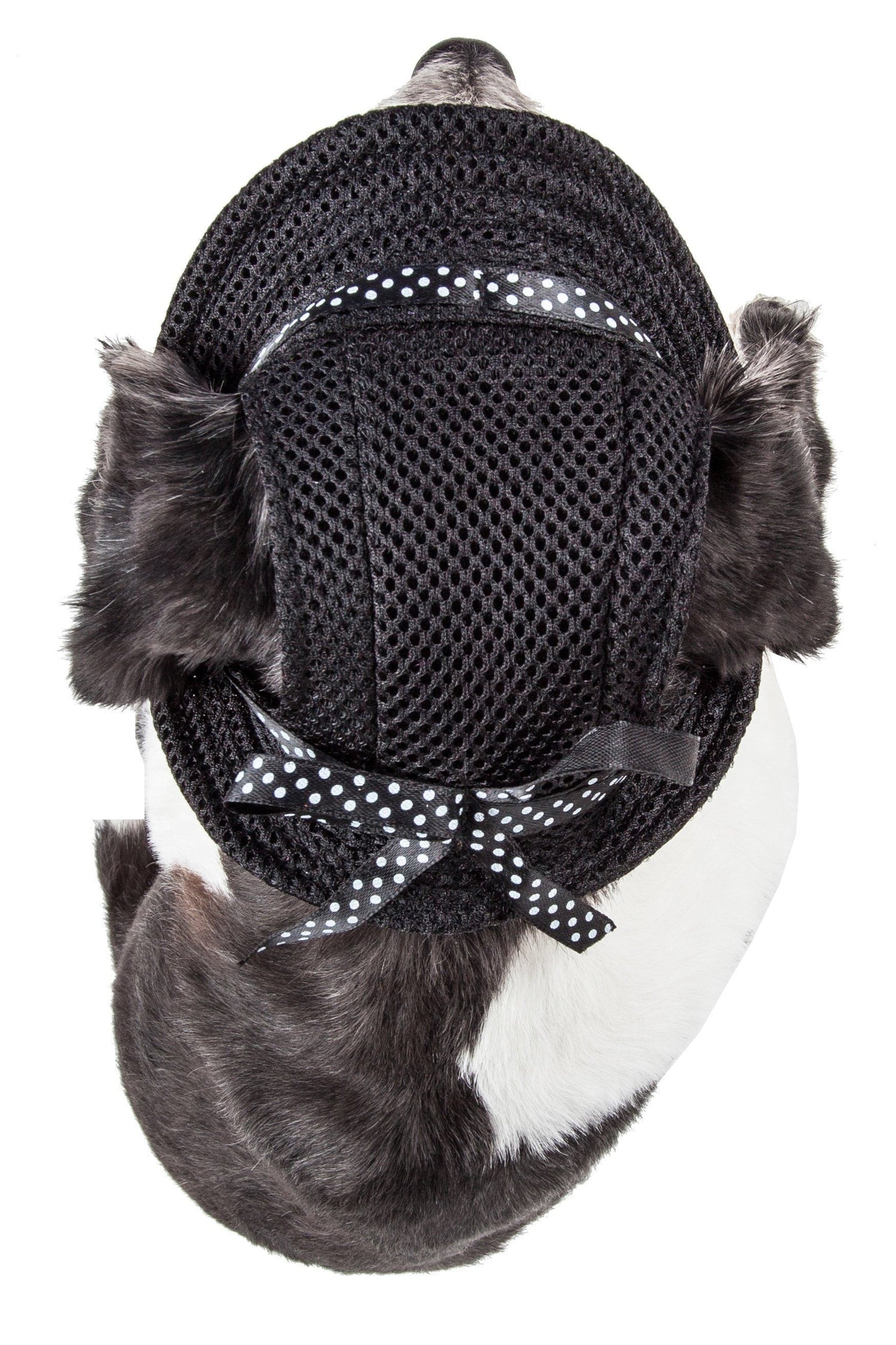 Pet Life ®  &