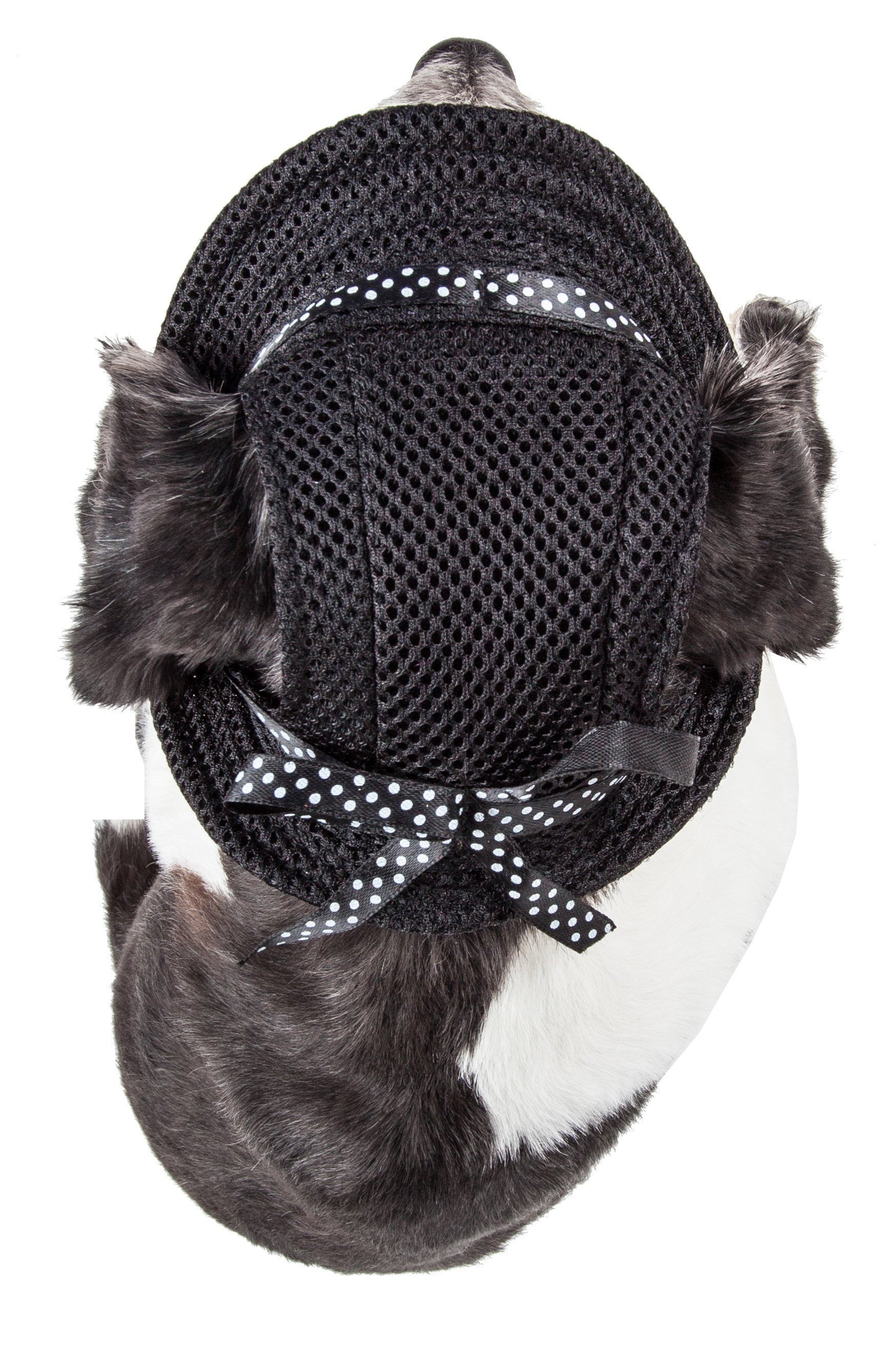 Pet Life ®  &