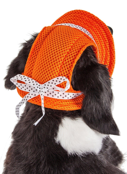 Pet Life ®  &