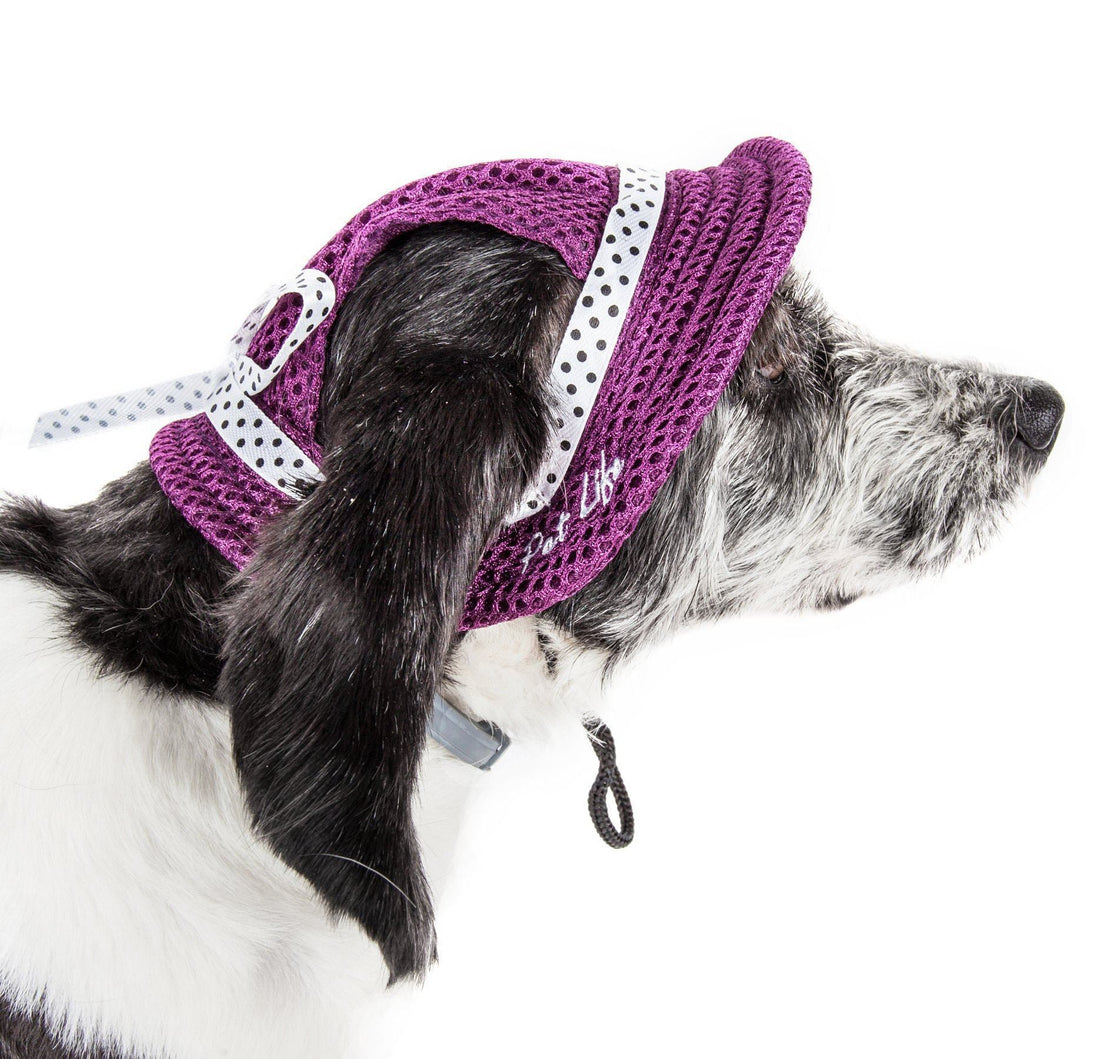Pet Life ®  &