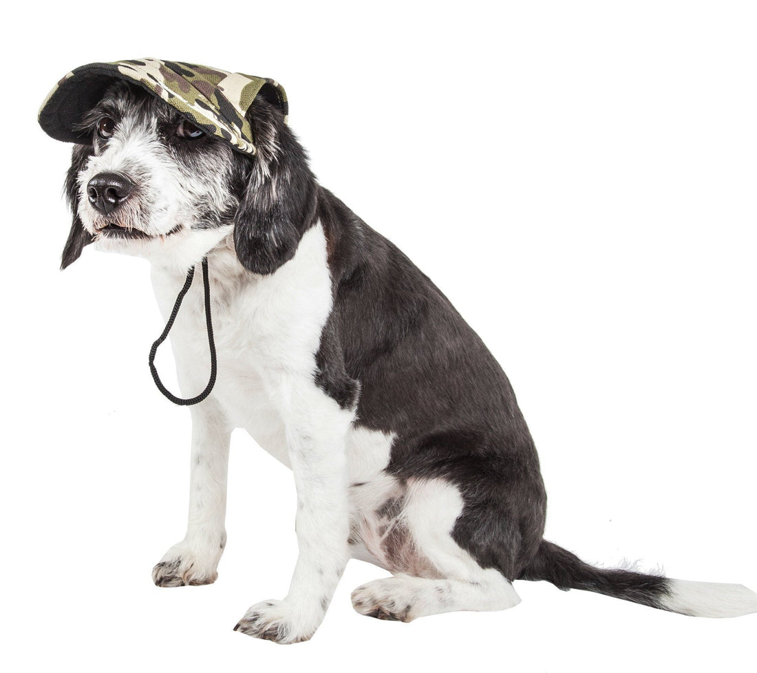 Pet Life ®  &