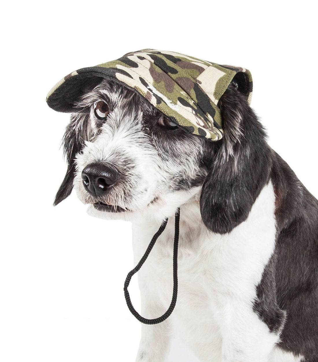 Pet Life ®  &