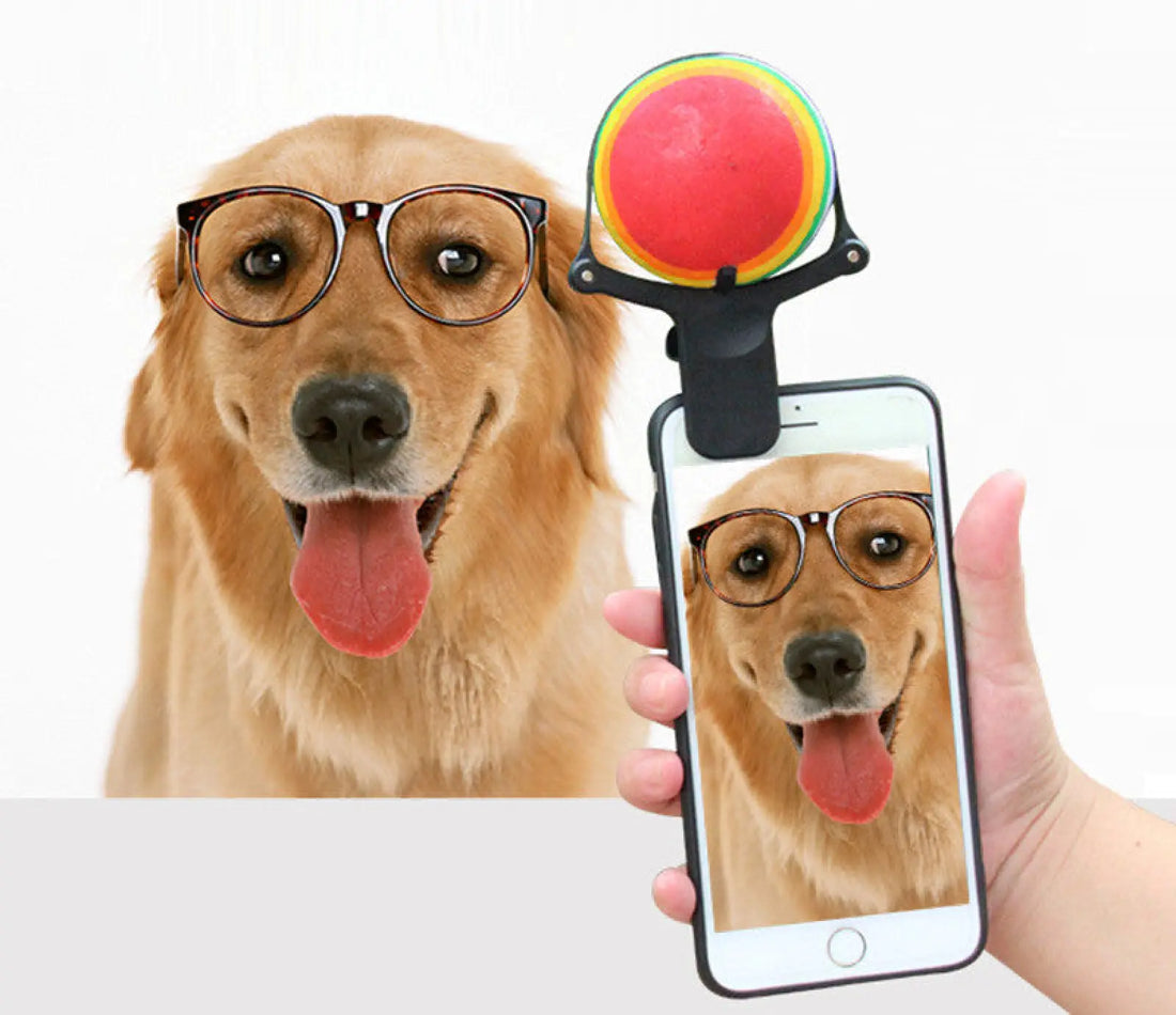 Pet Selfie Stick Tennis Ball Phone Clip Prop