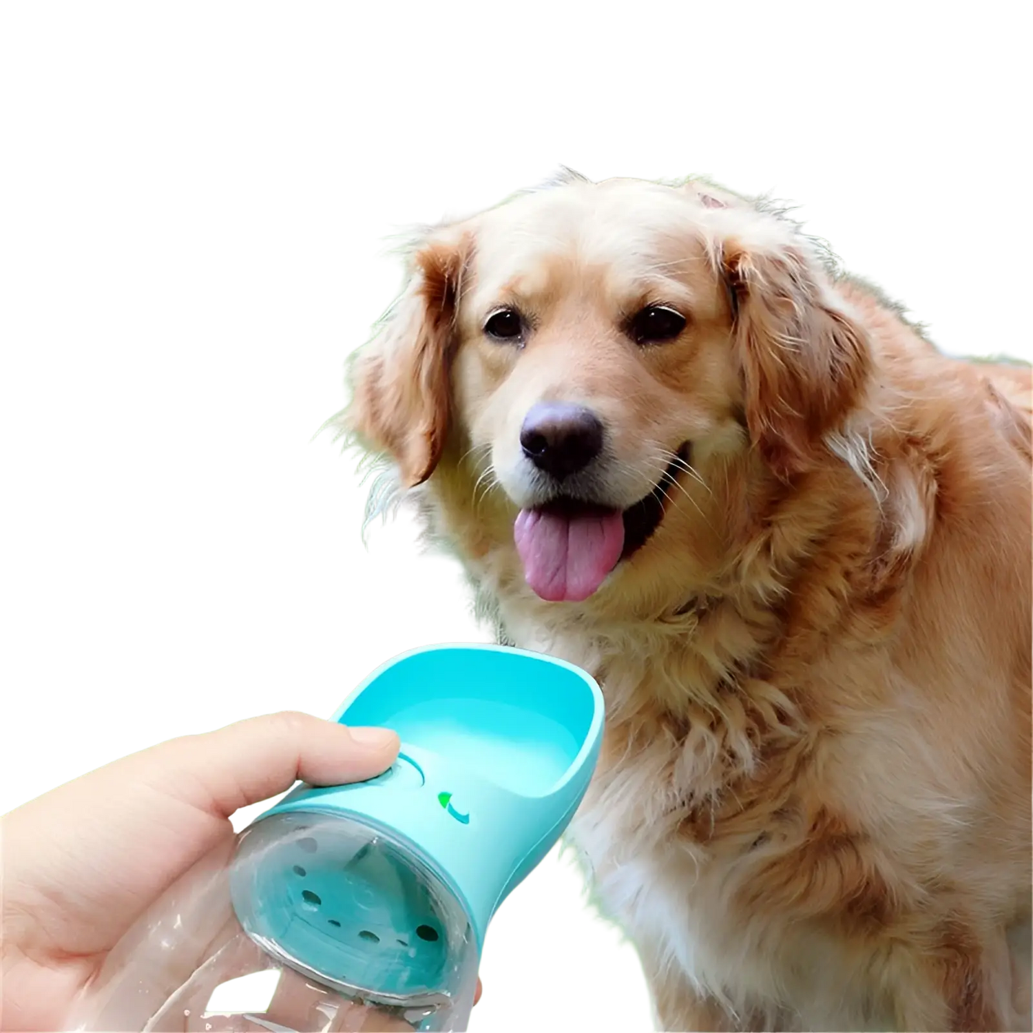 Pet Water Bottle Portable Outdoor Leakproof Cup