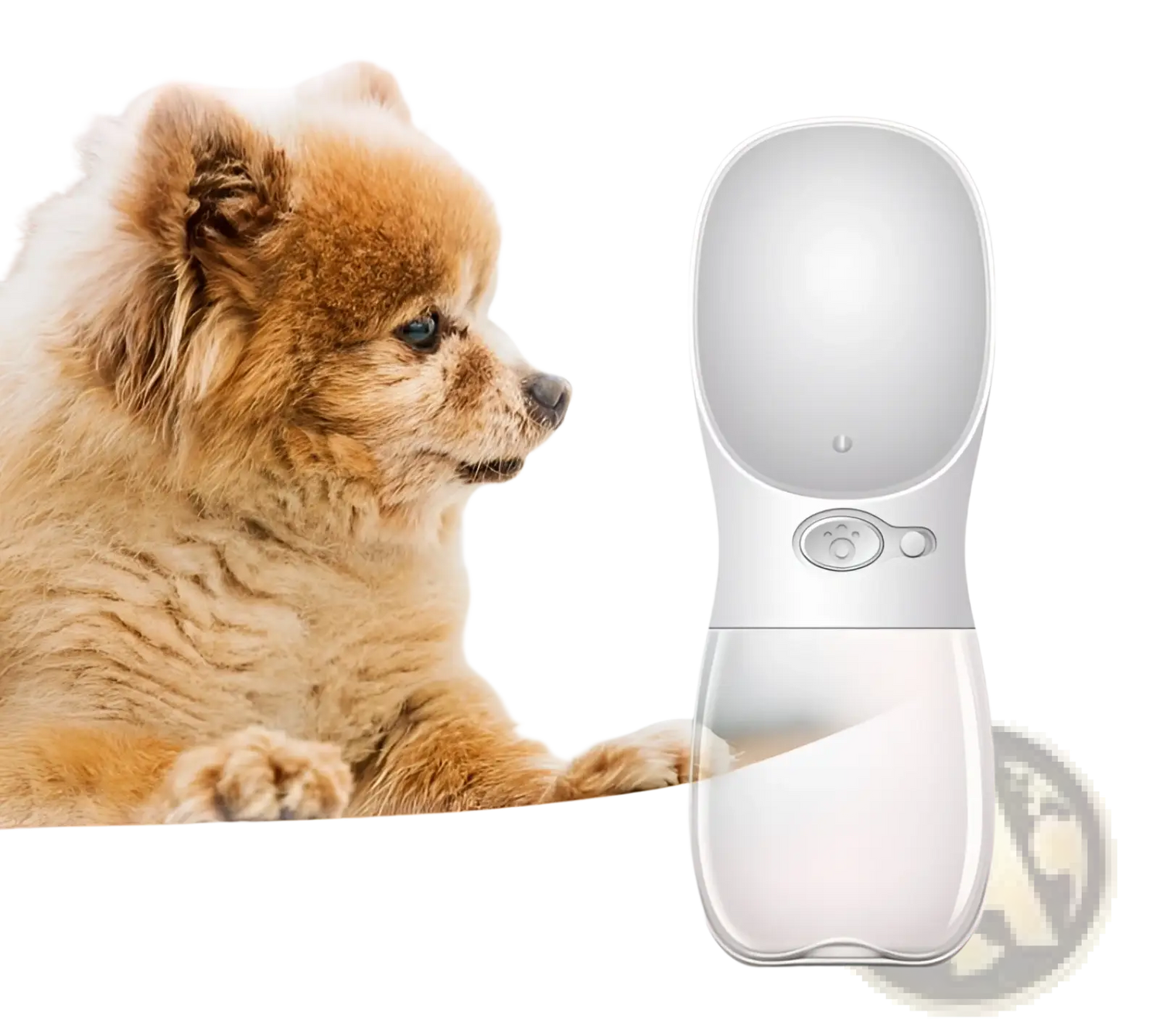 Pet Water Bottle Portable Outdoor Leakproof Cup