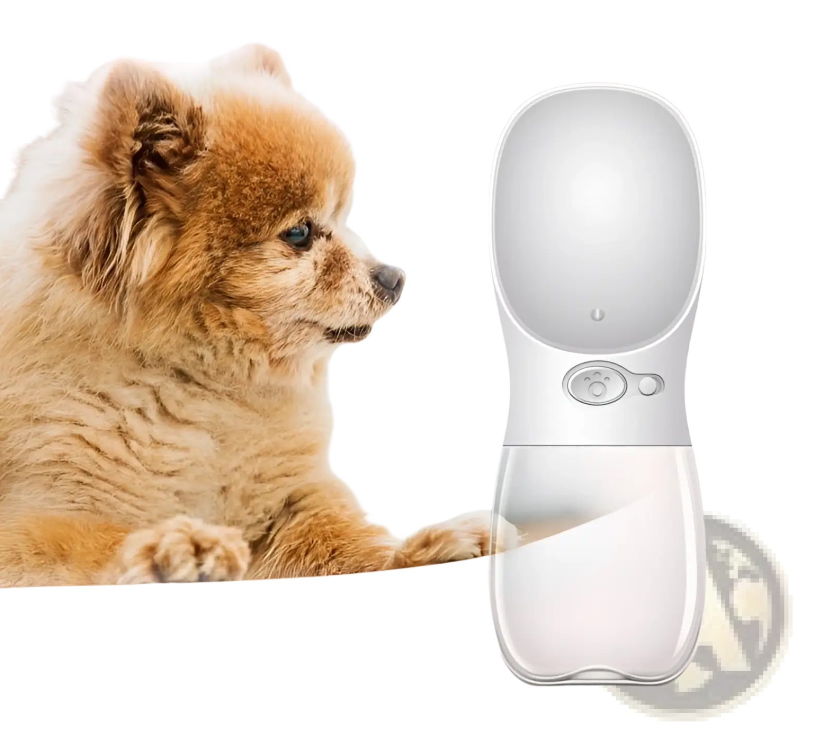 Pet Water Bottle Portable Outdoor Leakproof Cup