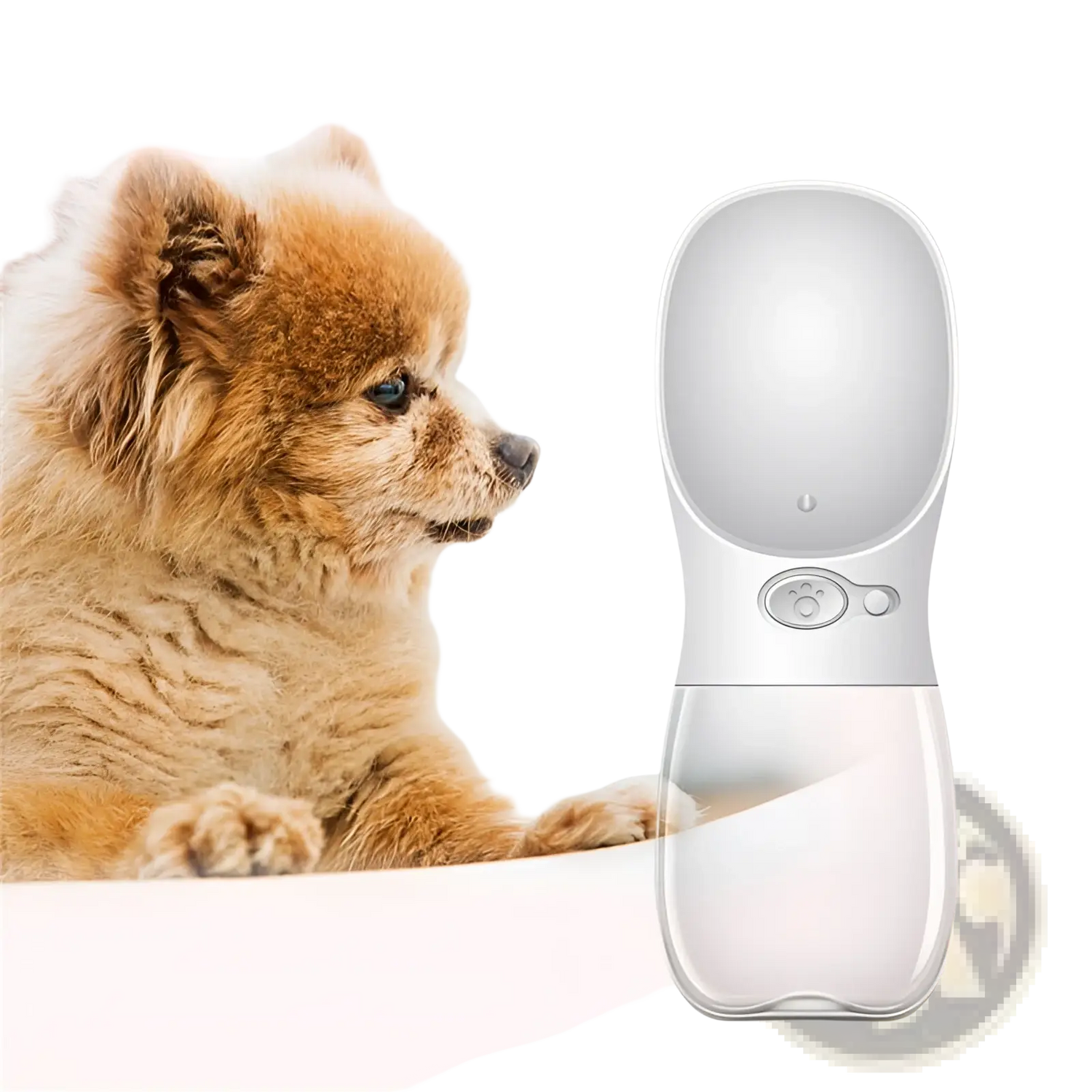 Pet Water Bottle Portable Outdoor Leakproof Cup