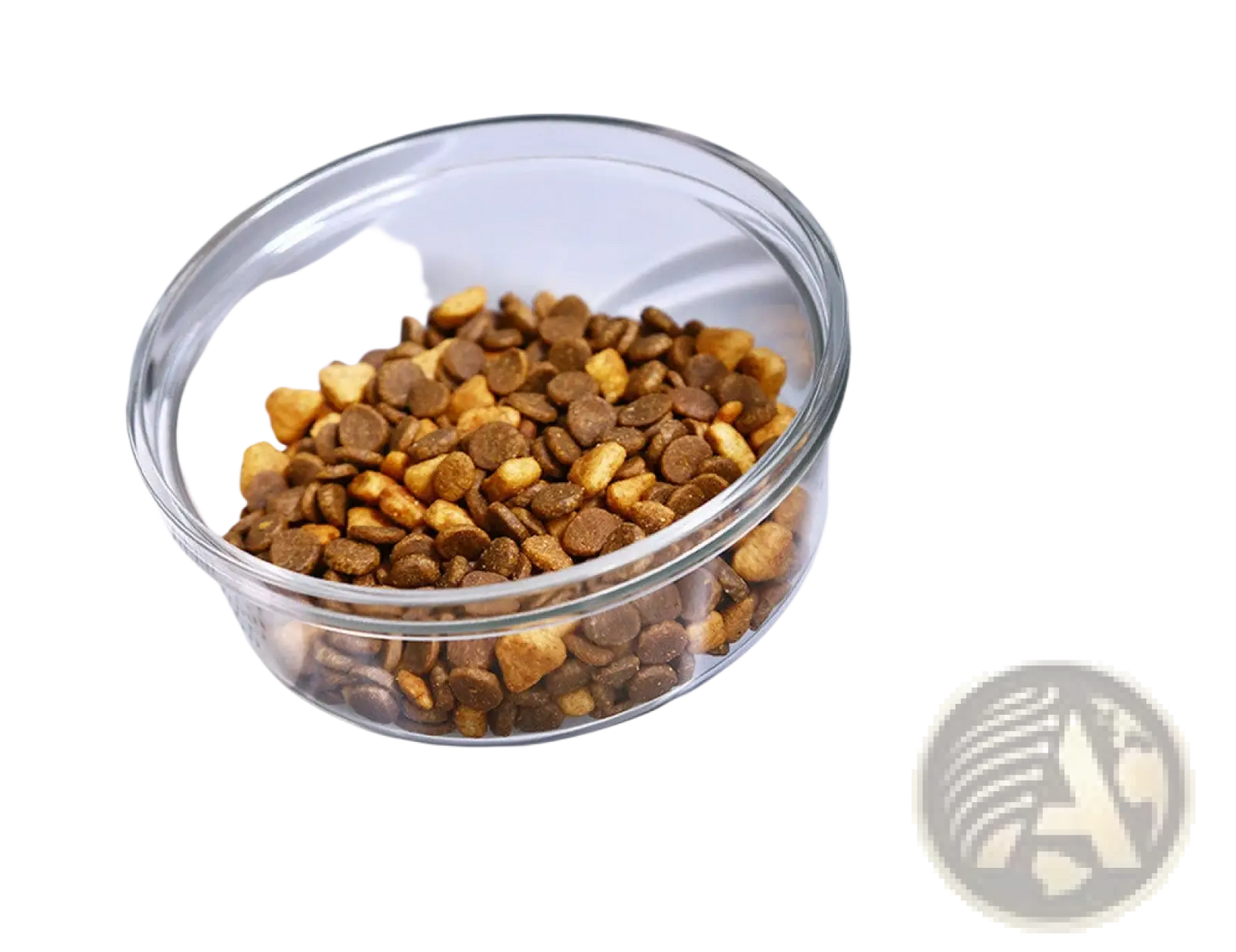 Pet Water Dispenser and Automatic Food Bowl Set