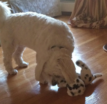 Small Stuffed SQUEAKY Dog &amp; Puppy Toys / 10-30 lbs.