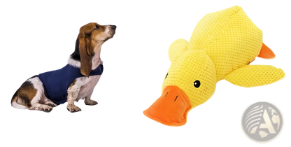 Plush Duck Dog Toy Bite Resistant Molar Chew Toy