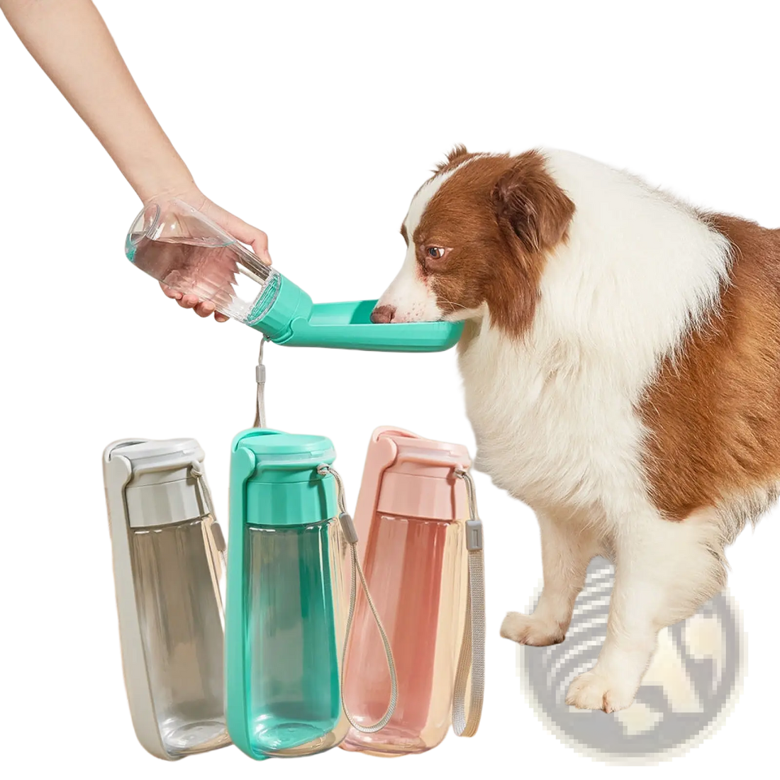 Portable Dog Water Bottle 550ml Folding Pet Travel Cup