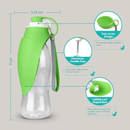 Portable Water Bottle