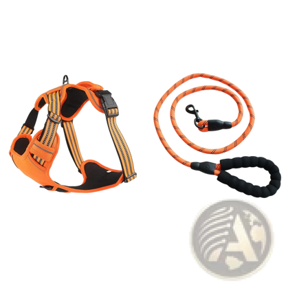 No Pull Reflective Dog Harness Vest with Leash Set