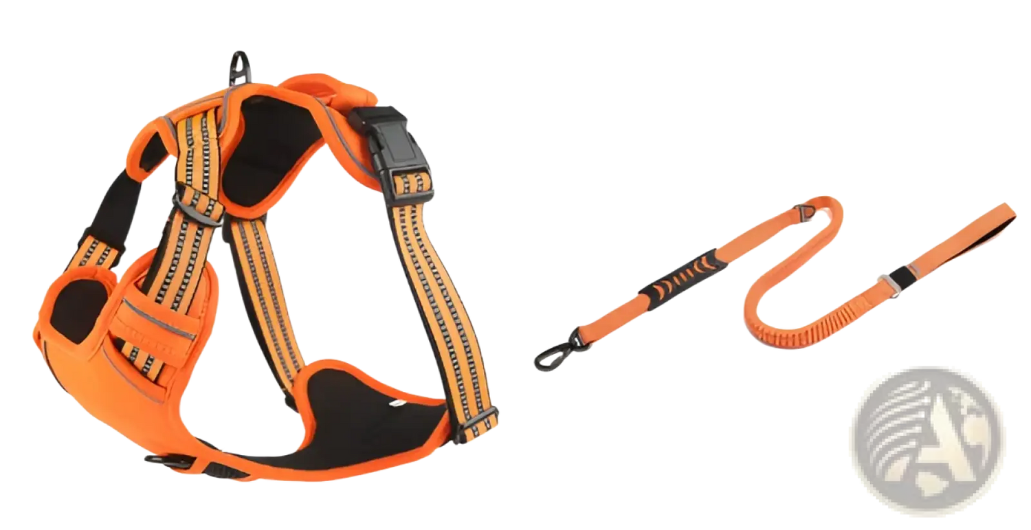 No Pull Reflective Dog Harness Vest with Leash Set