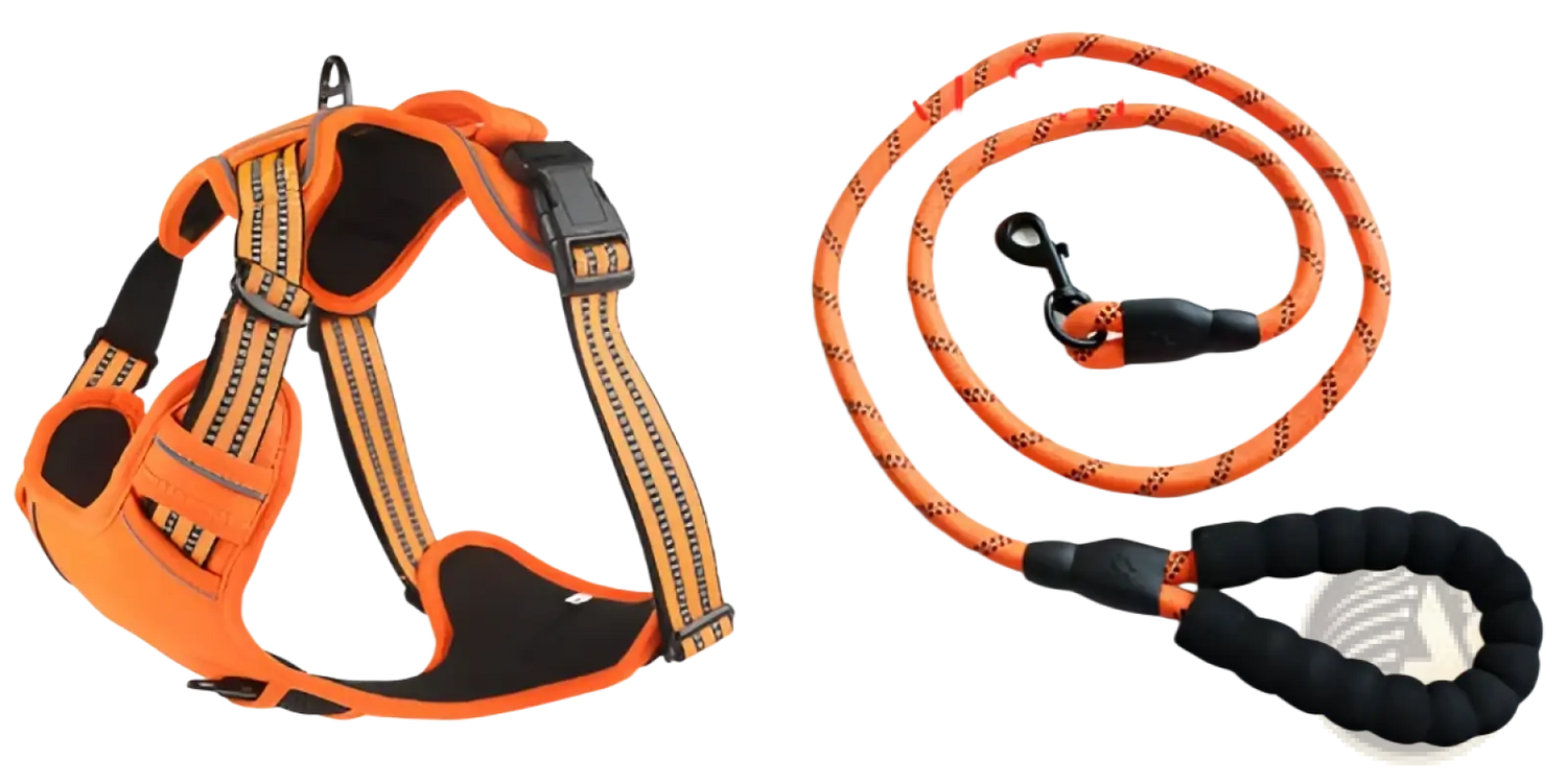 No Pull Reflective Dog Harness Vest with Leash Set