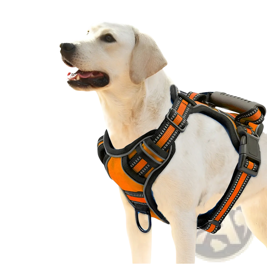 No Pull Reflective Dog Harness Vest with Leash Set