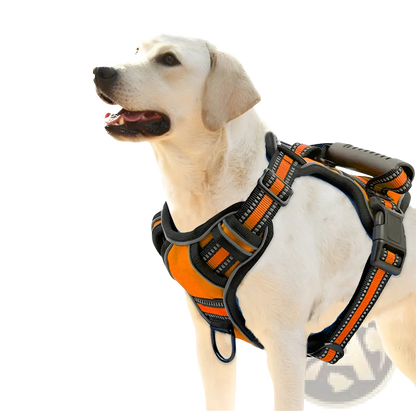 No Pull Reflective Dog Harness Vest with Leash Set