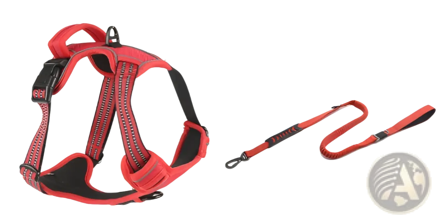 No Pull Reflective Dog Harness Vest with Leash Set