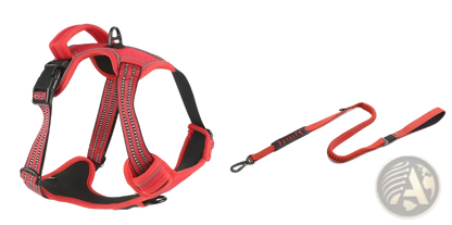 No Pull Reflective Dog Harness Vest with Leash Set