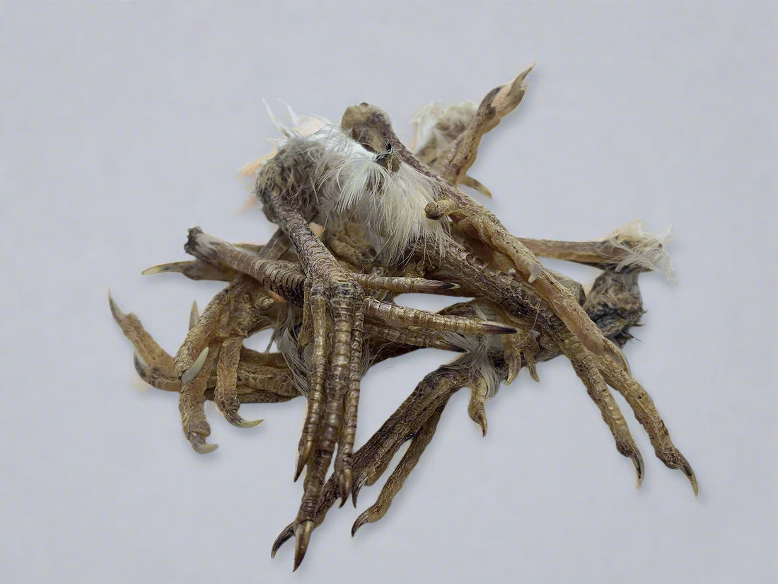 Quail feet Dog Training aid &amp; Treat