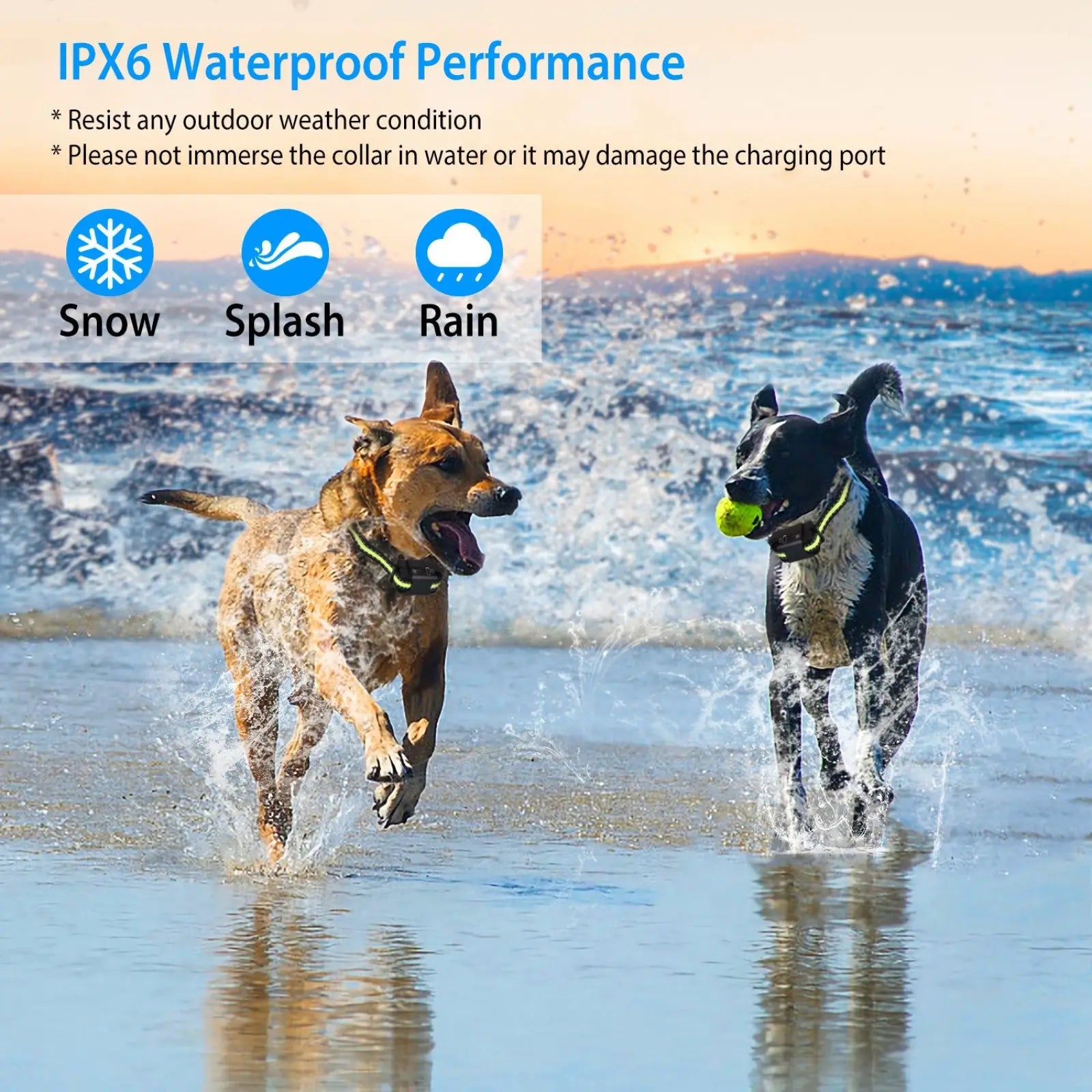 Rechargeable Smart Dog Bark Collar with Dual Training Modes