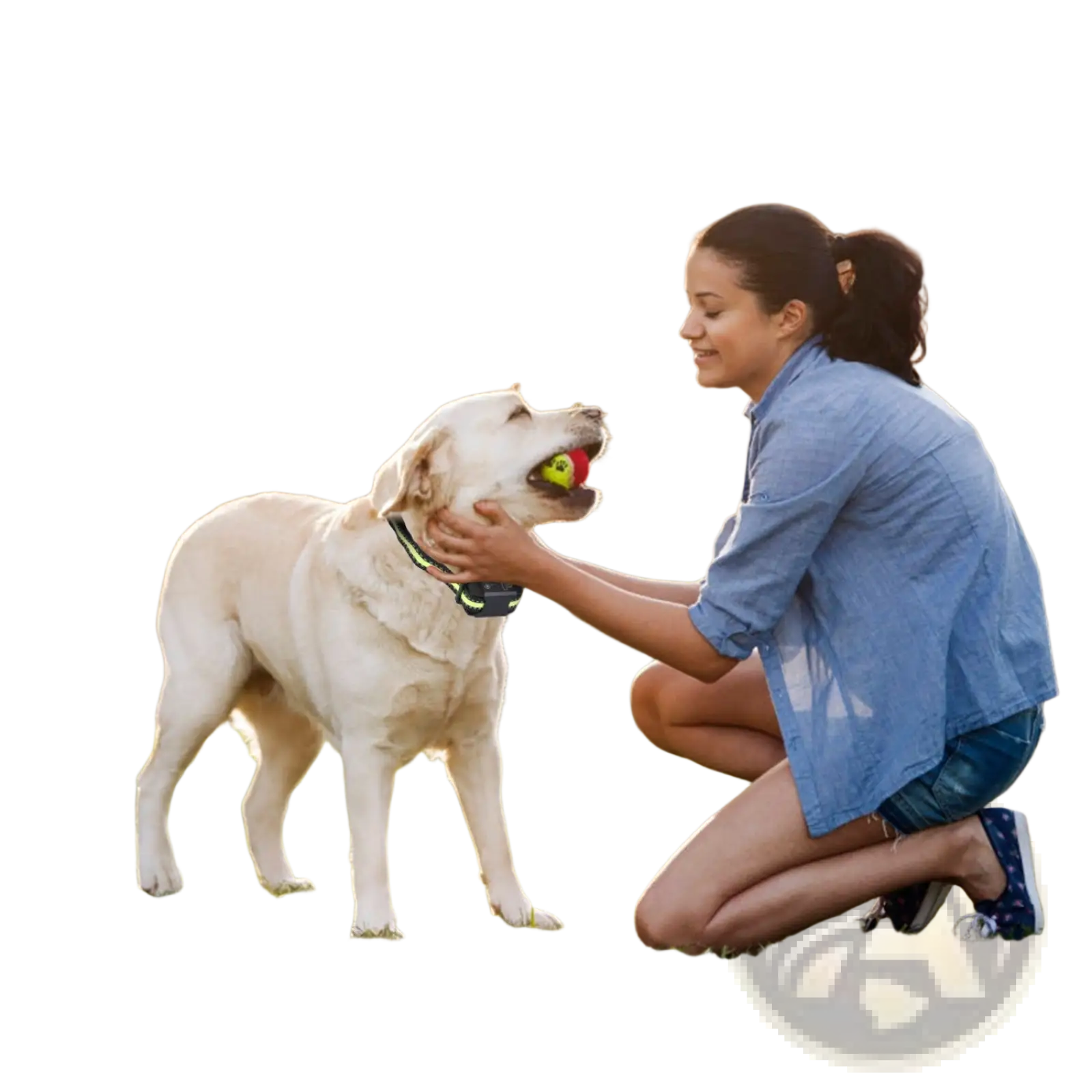 Rechargeable Smart Dog Bark Collar with Dual Training Modes
