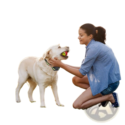 Rechargeable Smart Dog Bark Collar with Dual Training Modes