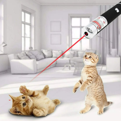Red Laser Pointer Pen 650nm Teaching Pet Toy 10 Pack