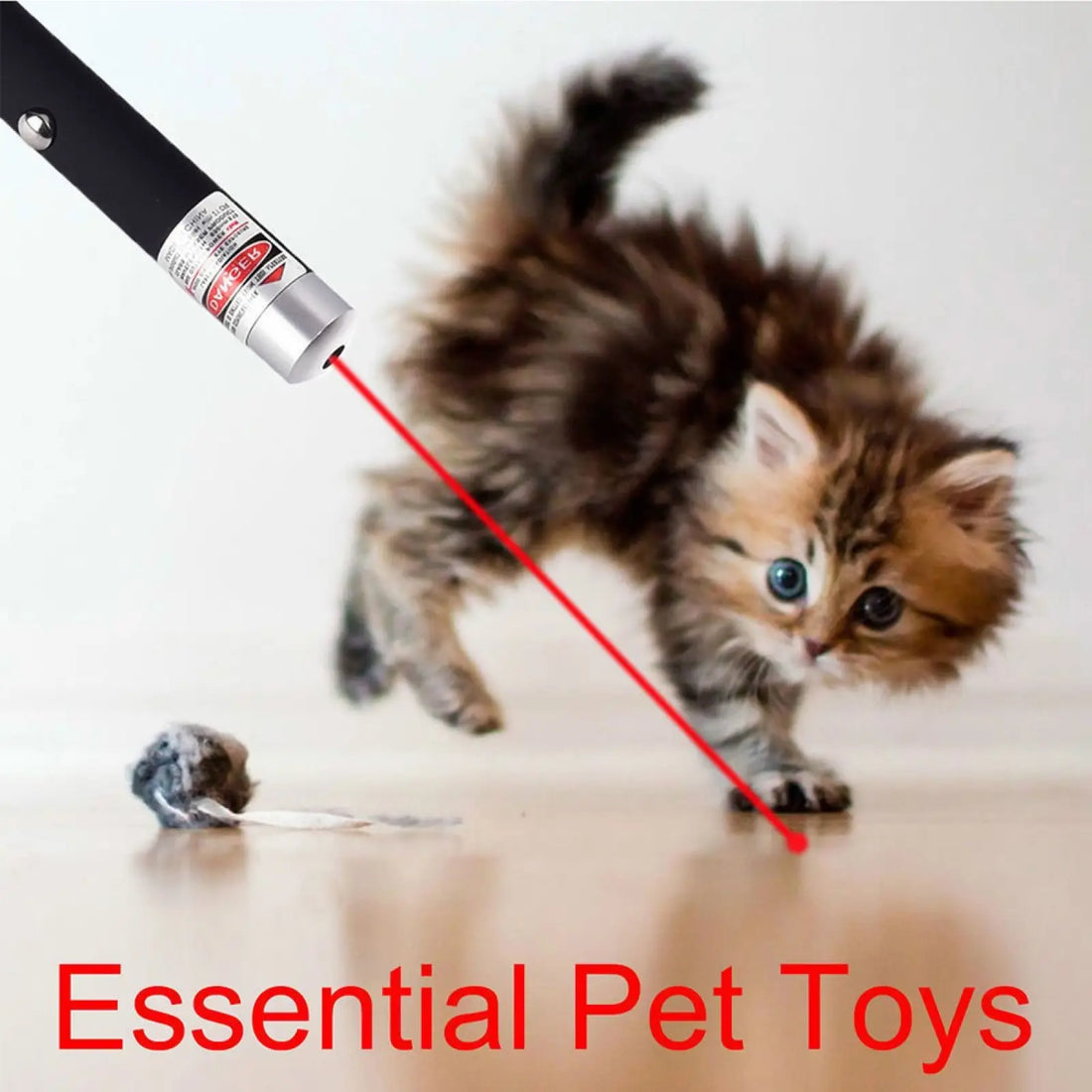 Red Laser Pointer Pen 650nm Teaching Pet Toy 10 Pack