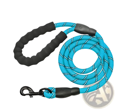Reflective Dog Leash with Padded Foam Comfort Handle