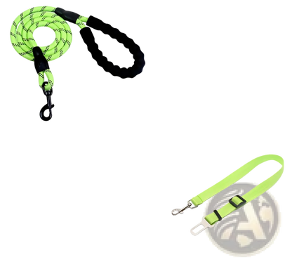 Reflective Dog Leash with Padded Foam Comfort Handle