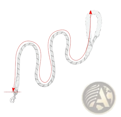 Reflective Dog Leash with Padded Foam Comfort Handle