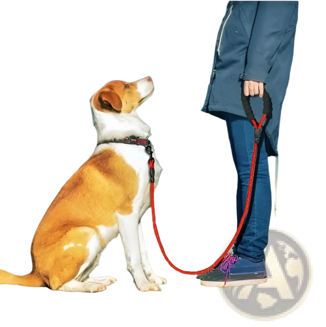 Reflective Dog Leash with Padded Foam Comfort Handle