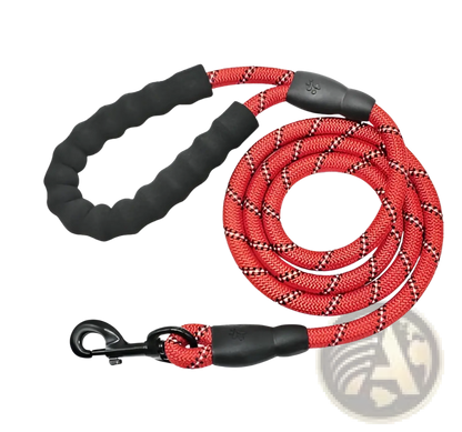 Reflective Dog Leash with Padded Foam Comfort Handle