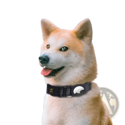 Reflective Gps Dog Collar with Nylon Tracker Holder