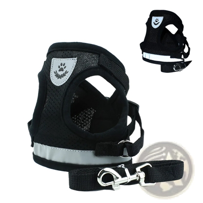 Reflective Mesh Dog Harness with Leash Set