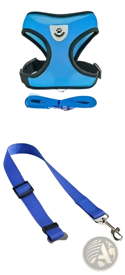 Reflective Mesh Dog Harness with Leash Set