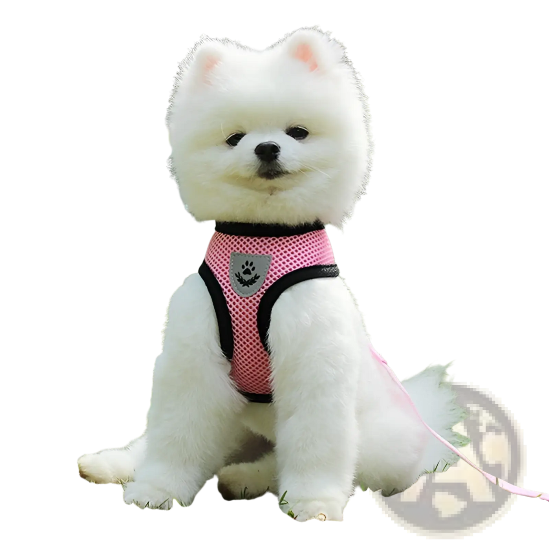 Reflective Mesh Dog Harness with Leash Set