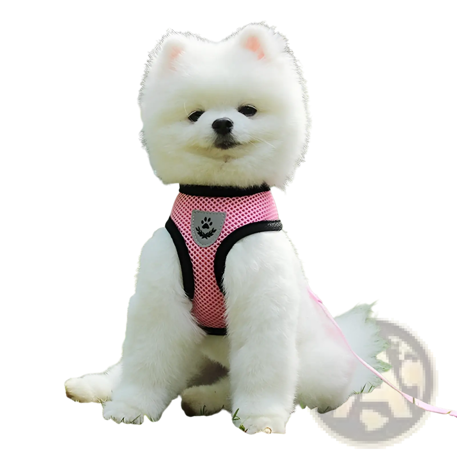 Reflective Mesh Dog Harness with Leash Set