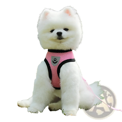 Reflective Mesh Dog Harness with Leash Set