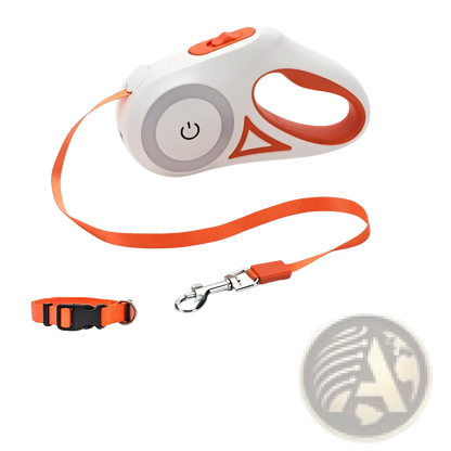 Retractable Dog Leash with Led Light and Collar Set